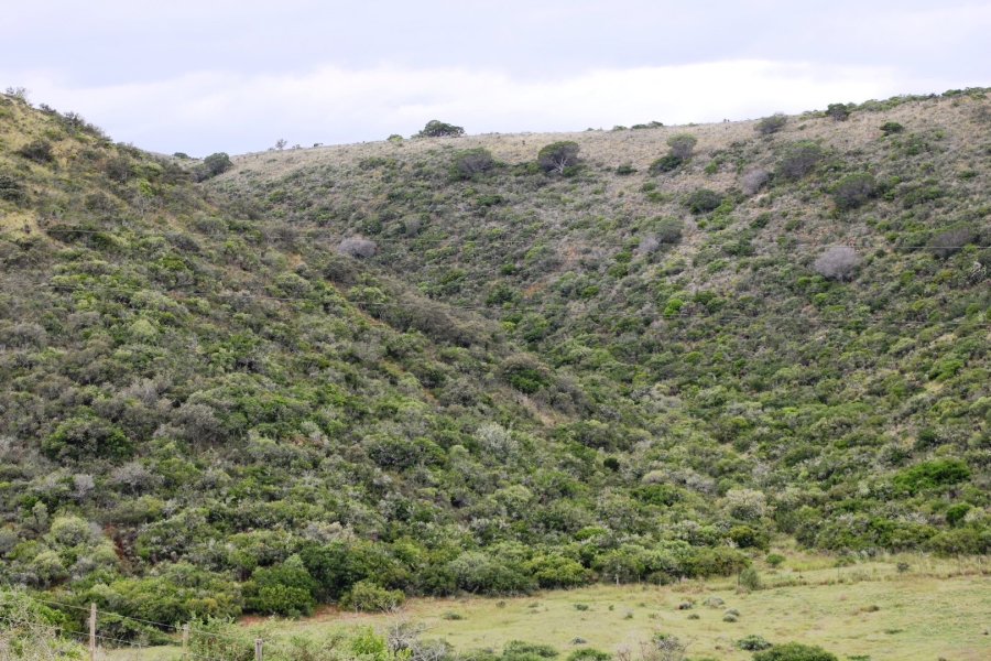 Commercial Property for Sale in Mossel Bay Rural Western Cape